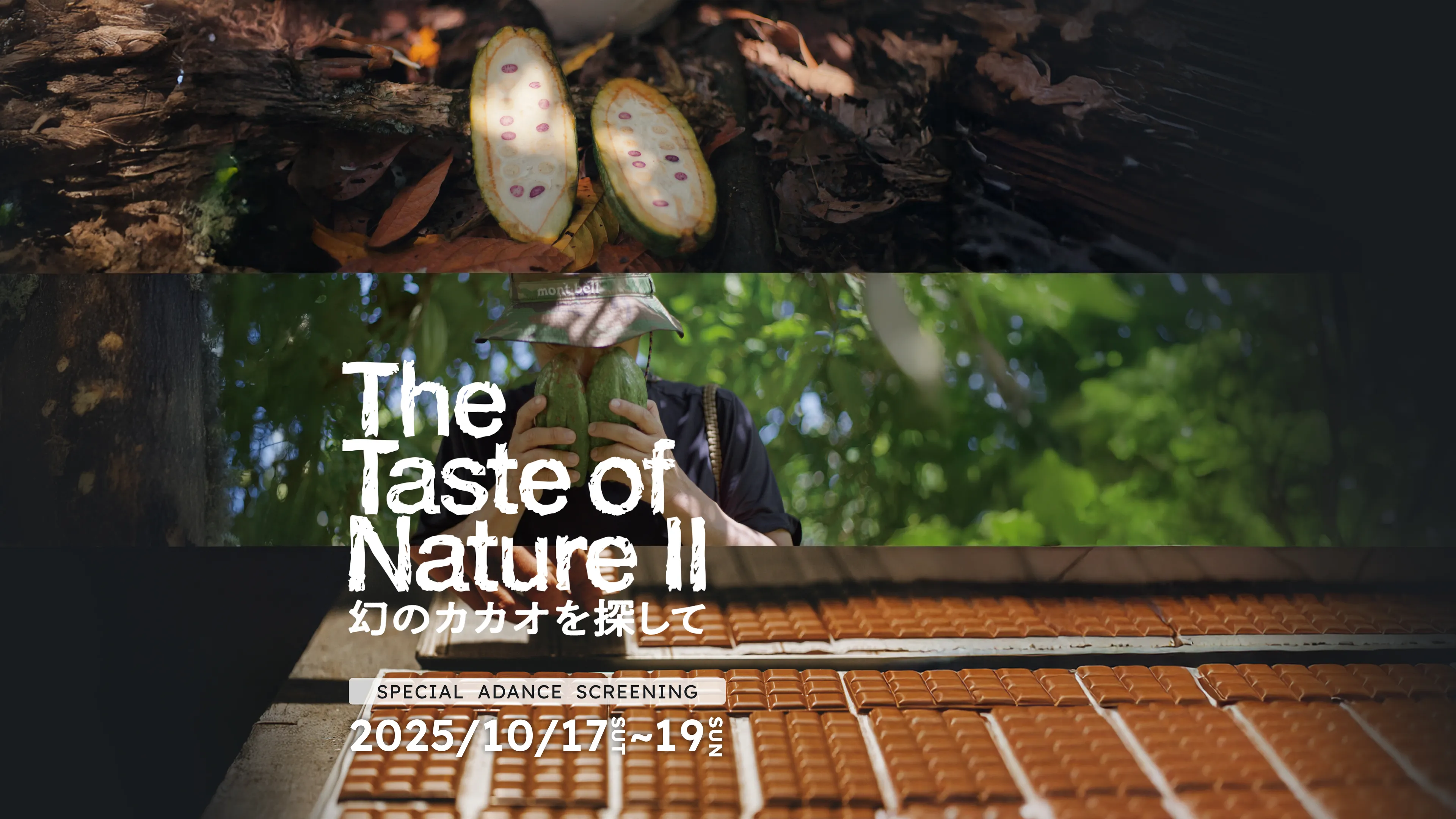 The Taste of Nature Ⅱ背景画像