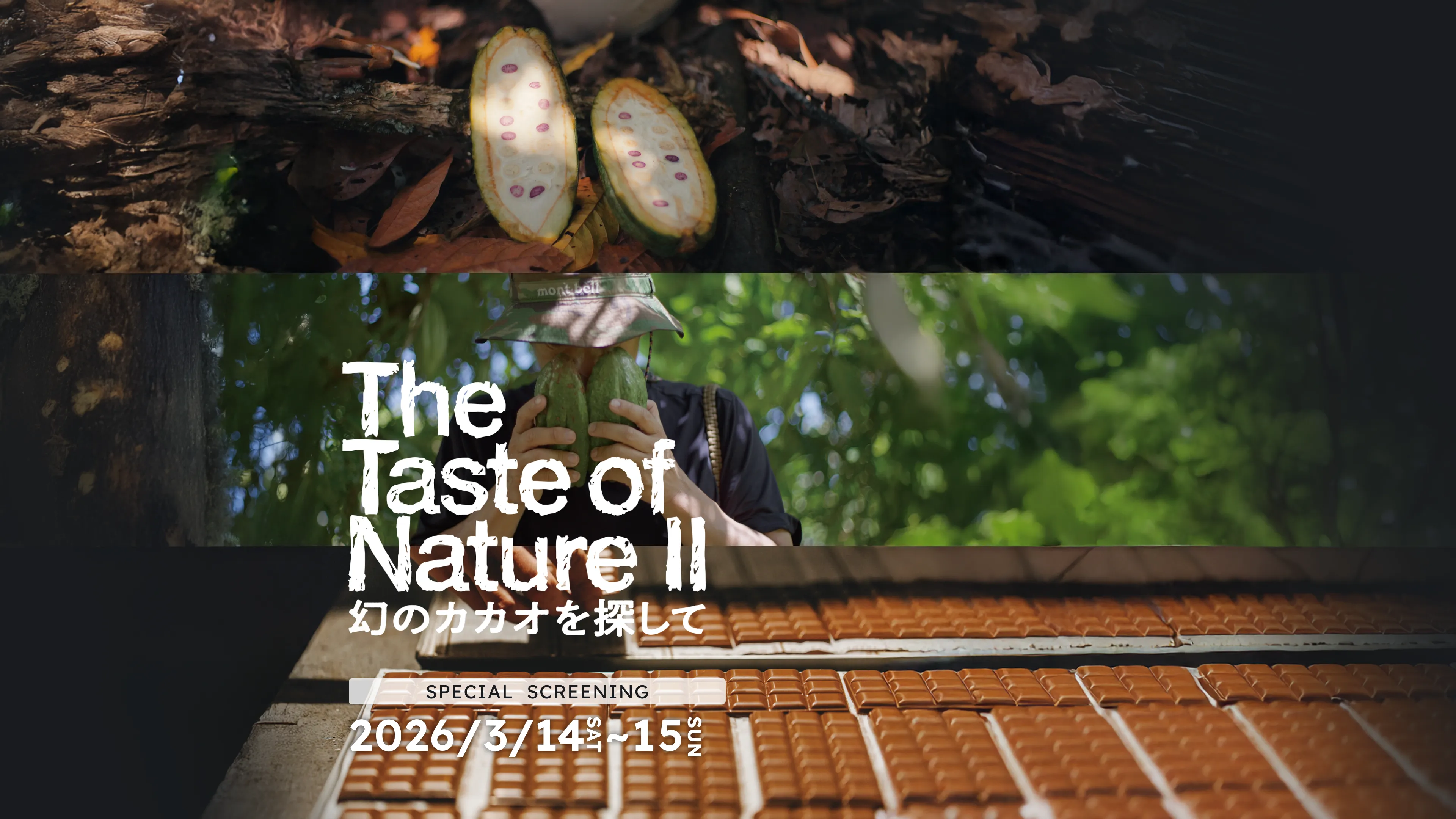 The Taste of Nature Ⅱ背景画像